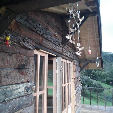 Cabana La Libelula San Ignacio エクステリア 写真